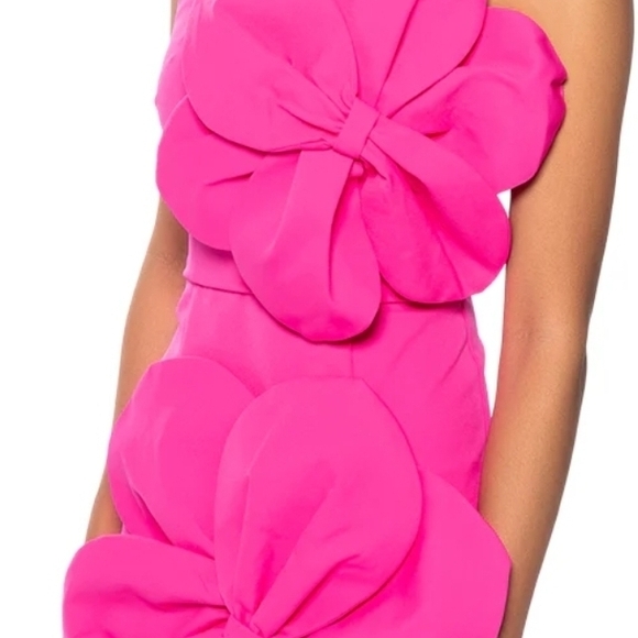 AKIRA Dresses & Skirts - AKIRA Hot Pink One-Shoulder Floral Appliqué Dress